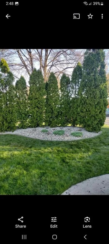 Professional yard cleanup service with custom design across Corunna, MI - Definite Landscaping