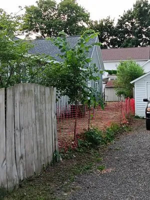 Definite Landscaping