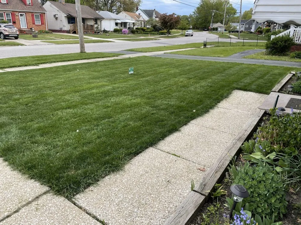 Custom yard cleanup service in Atlanta, GA - Definite Visions Design