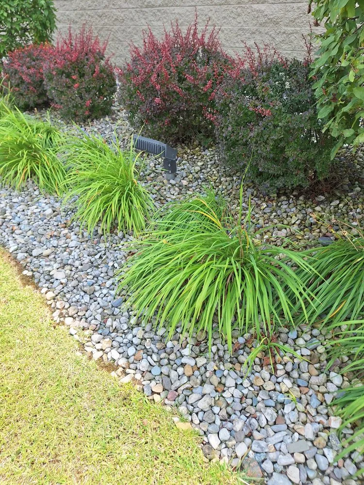 Trusted lawn care service near you across Linton, IN - Definitive Cut