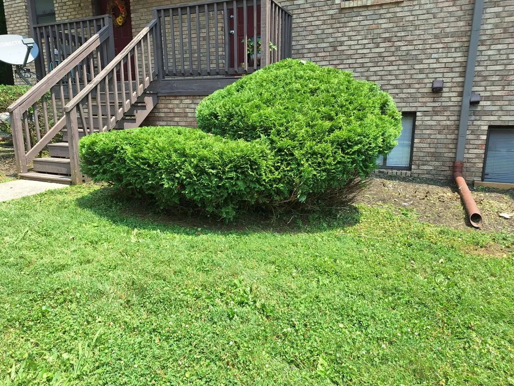 Expert residential landscaping experts serving Linton, IN - Definitive Cut