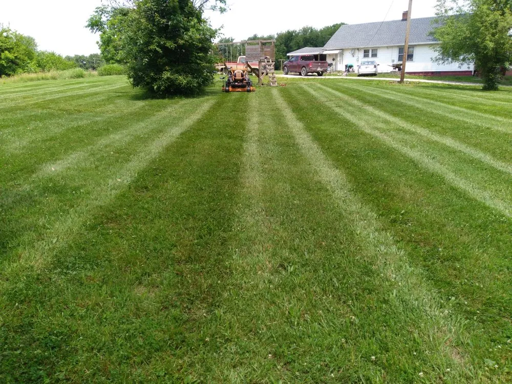 Custom yard cleanup service in Linton, IN by Definitive Cut