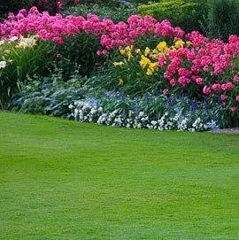 Local yard maintenance in Lewiston, ID by Definitive Landscapes & Concrete