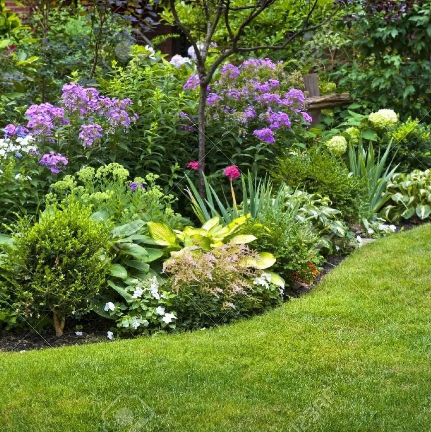 Custom yard cleanup service for outdoor upgrades in Lewiston, ID by Definitive Landscapes & Concrete