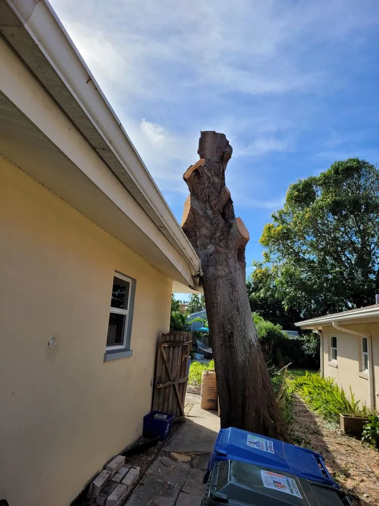 Custom lawn care service in Pinellas Park, FL by DeForest Tree and Property Maintenance