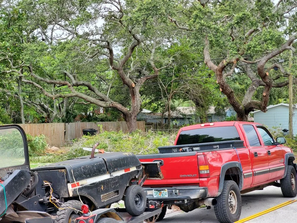 Professional landscape installation in Pinellas Park, FL - DeForest Tree and Property Maintenance
