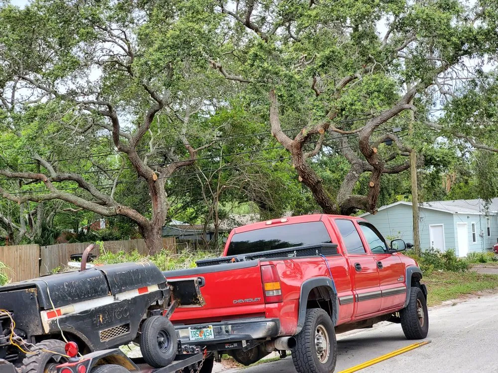 Top-rated yard maintenance for homes across Pinellas Park, FL - DeForest Tree and Property Maintenance
