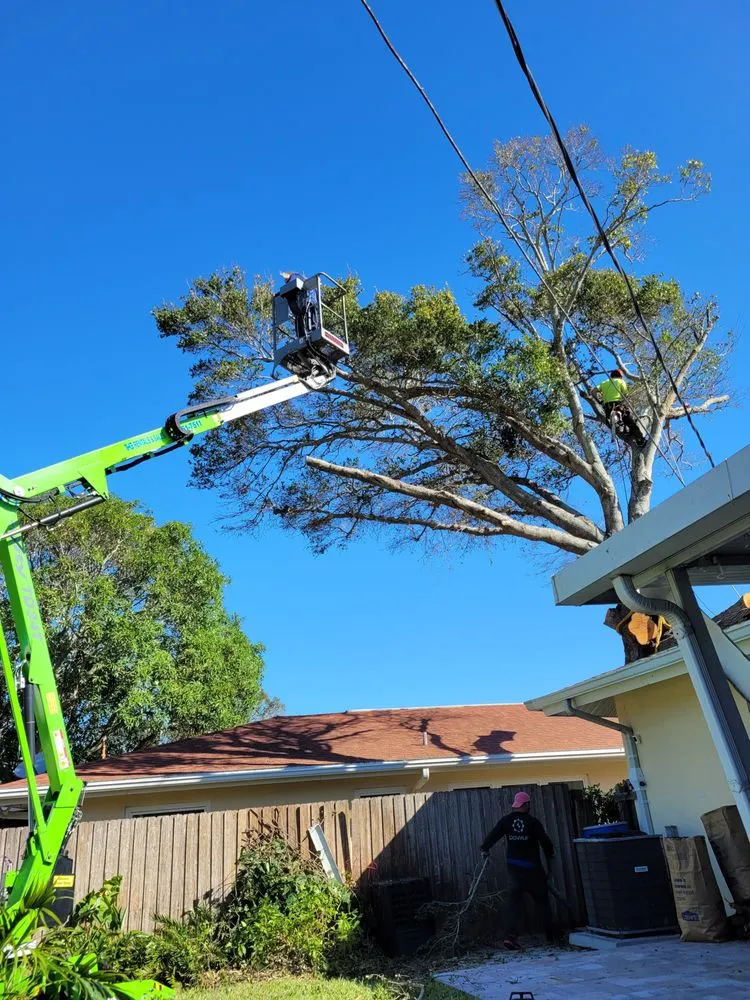 Top-rated landscaping services with custom design in Pinellas Park, FL by DeForest Tree and Property Maintenance