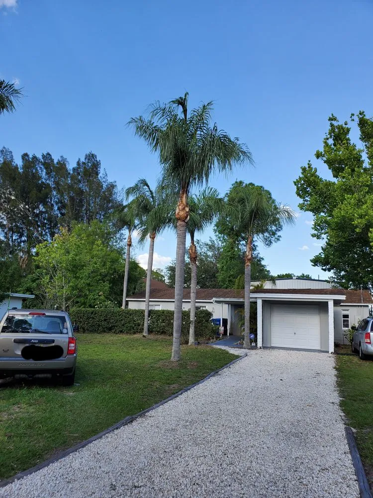 Reliable yard maintenance for beautiful yards in Pinellas Park, FL by DeForest Tree and Property Maintenance