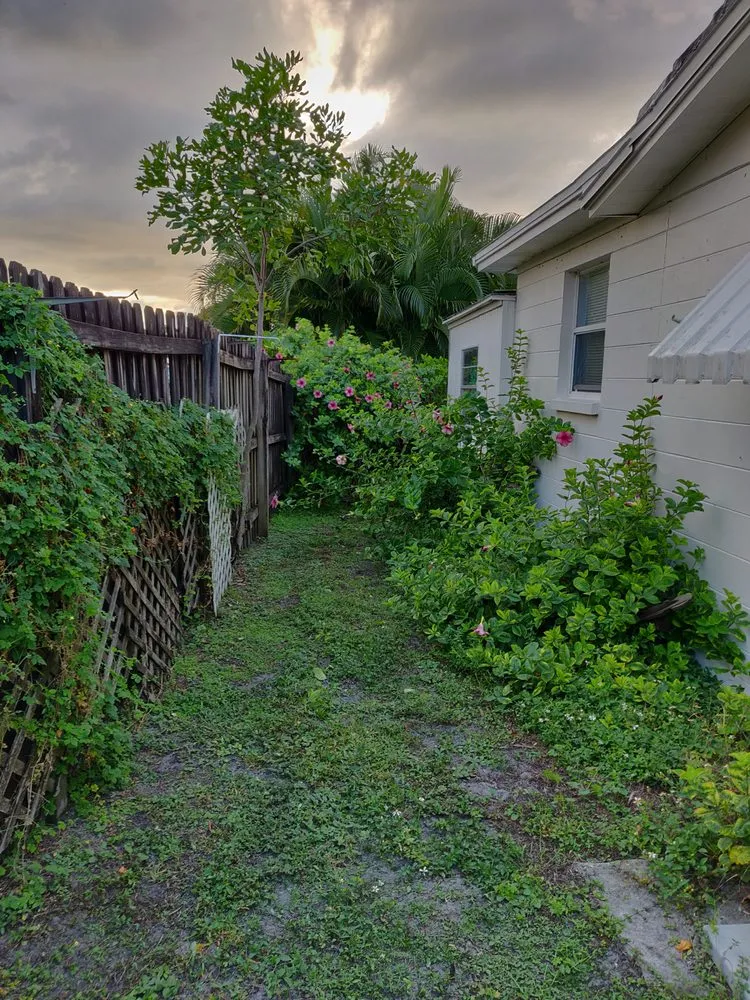 Reliable landscaping services in Pinellas Park, FL by DeForest Tree and Property Maintenance