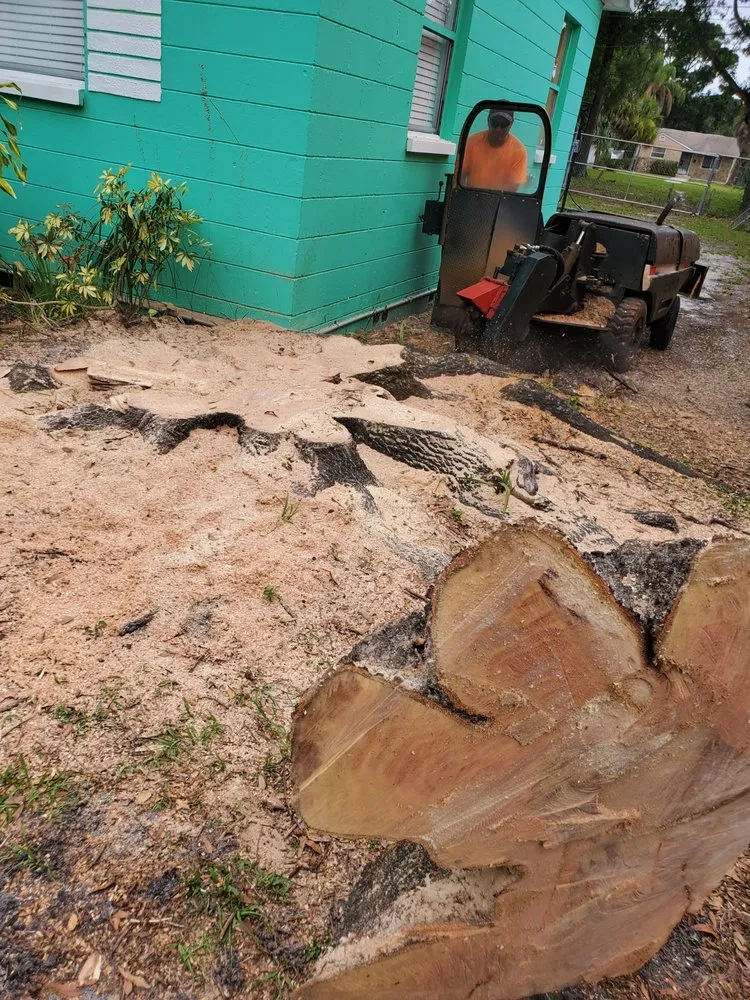 Reliable landscape installation experts serving Pinellas Park, FL - DeForest Tree and Property Maintenance