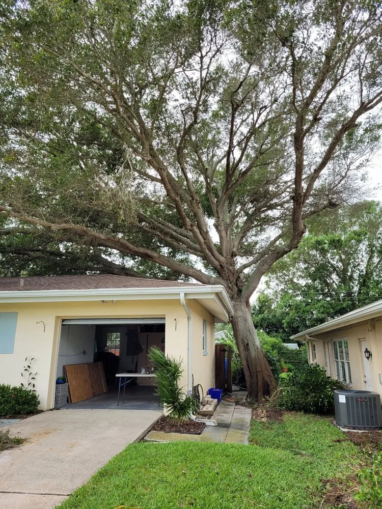 Professional residential landscaping experts serving Pinellas Park, FL - DeForest Tree and Property Maintenance