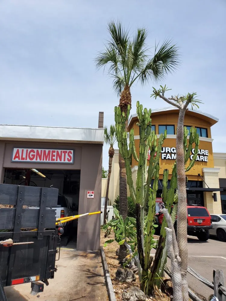 Affordable yard maintenance for residential properties in Pinellas Park, FL by DeForest Tree and Property Maintenance