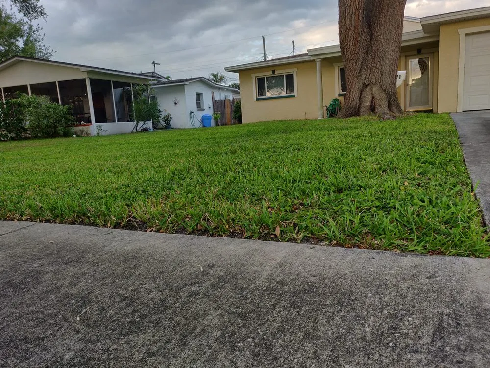 Professional lawn mowing service for homes across Pinellas Park, FL - DeForest Tree and Property Maintenance