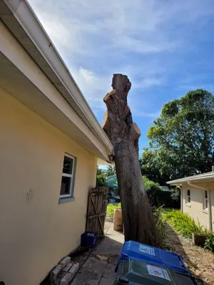 DeForest Tree and Property Maintenance