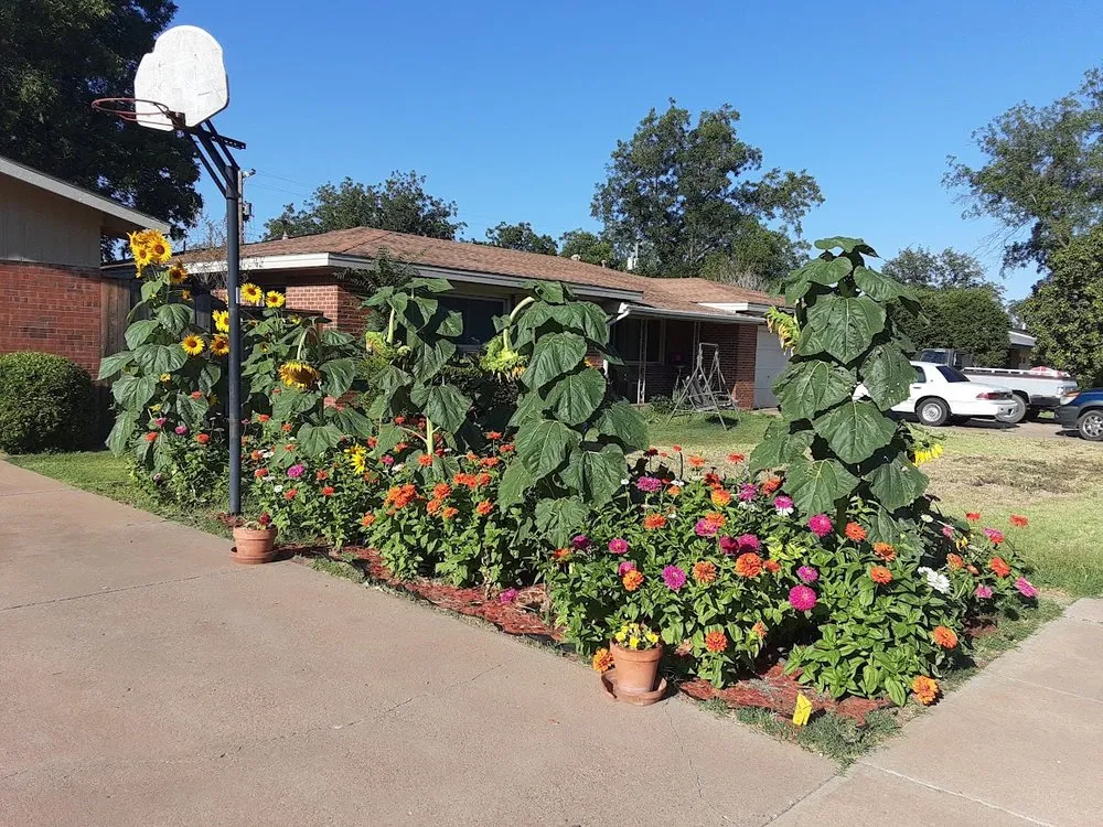 Top-rated landscaping services experts serving Lubbock, TX - Dega Lawncare Services