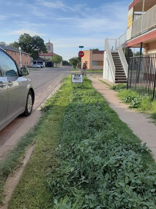 Expert lawn care service for beautiful yards in Lubbock, TX by Dega Lawncare Services