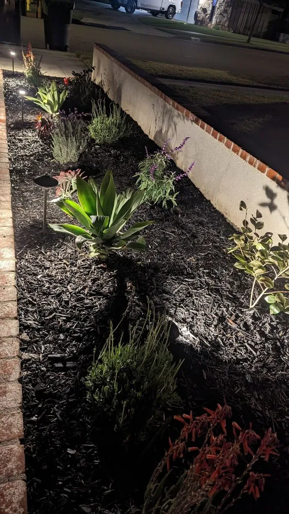 Top-rated lawn care service experts serving Long Beach, CA - De’Guerrero Design & Build