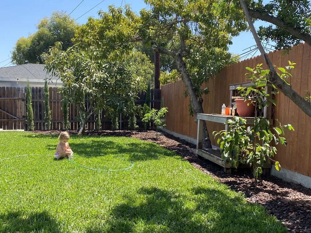 Affordable lawn mowing service in Long Beach, CA - De’Guerrero Design & Build