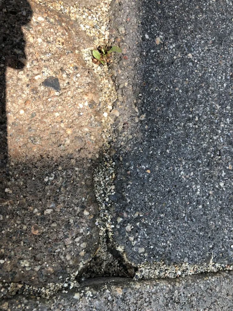 Reliable lawn care service experts serving Long Beach, CA - De’Guerrero Design & Build