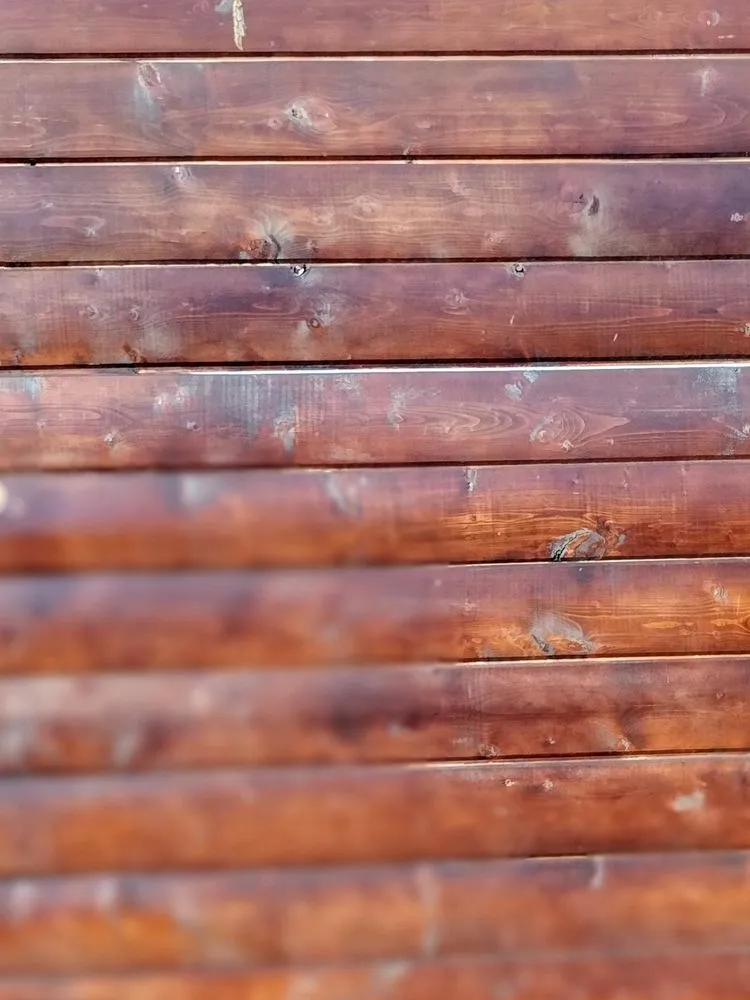 Professional lawn care service experts serving Cerritos, CA - Deiby's Landscape