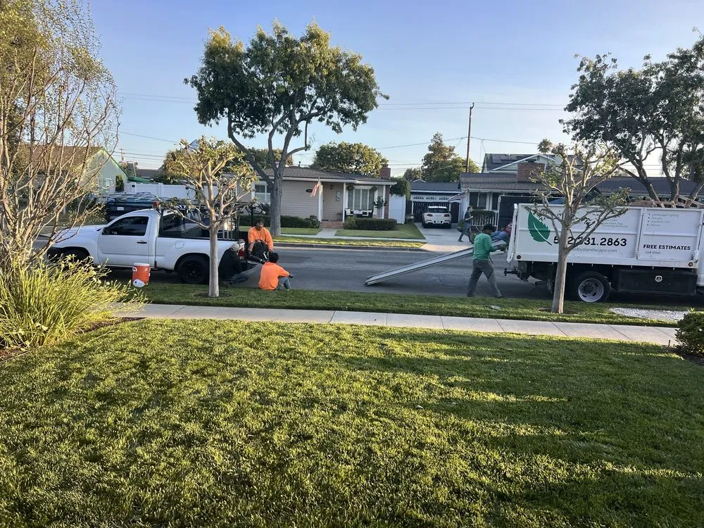 Trusted garden landscaping in Cerritos, CA by Deiby's Landscape