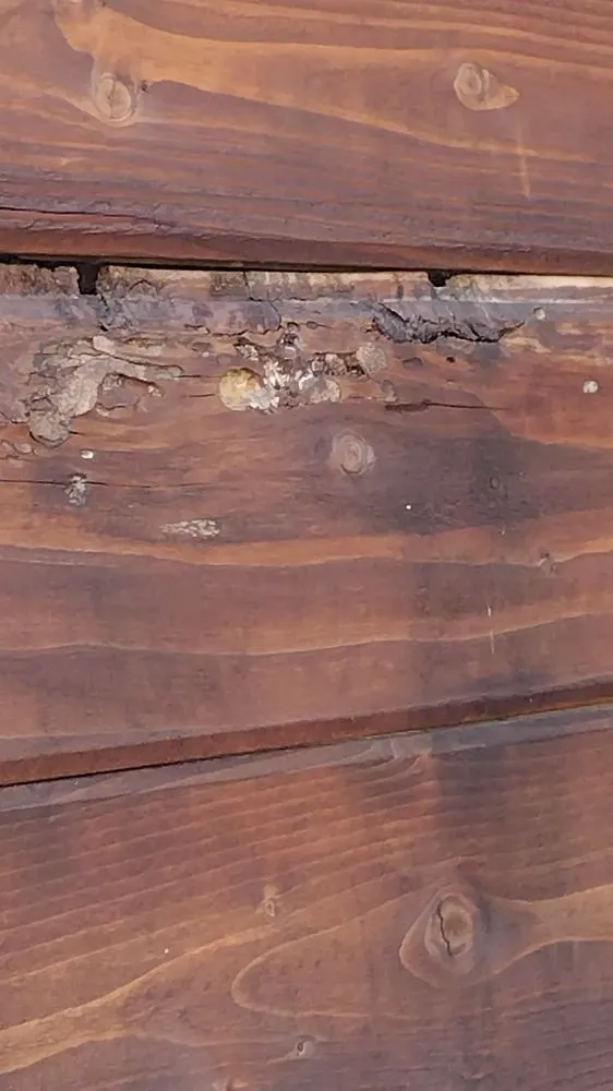 Reliable landscaping services with custom design in Cerritos, CA by Deiby's Landscape