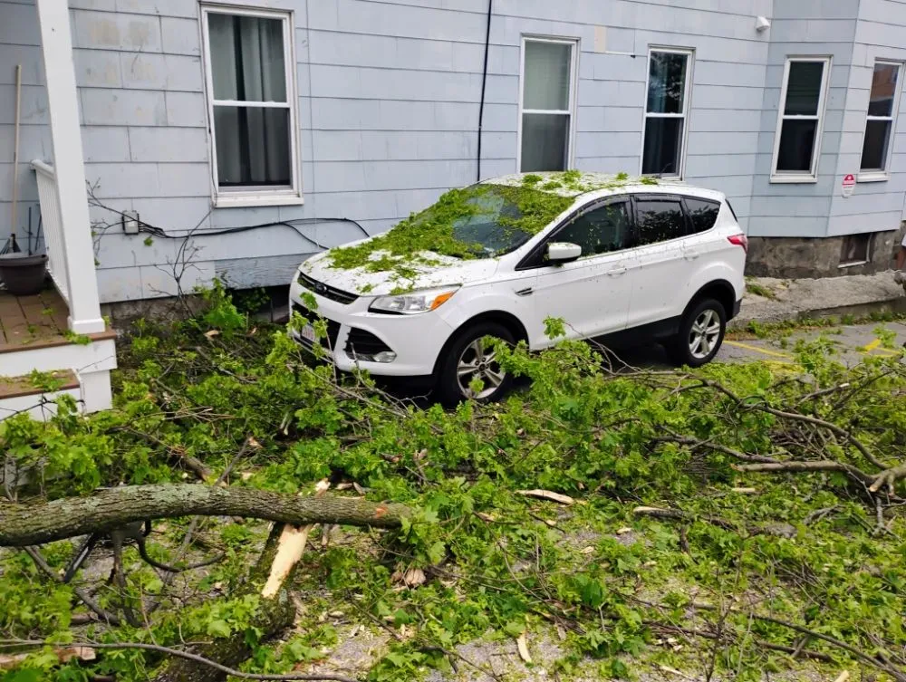 Local landscape installation in Worcester, MA by DeJarnette & Son's