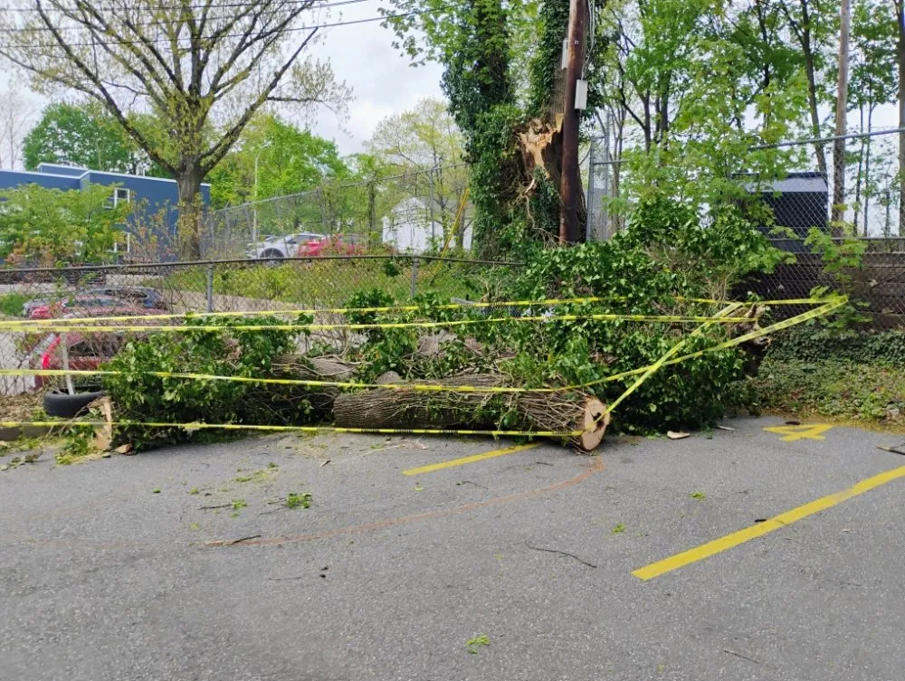 Reliable lawn mowing service in Worcester, MA by DeJarnette & Son's