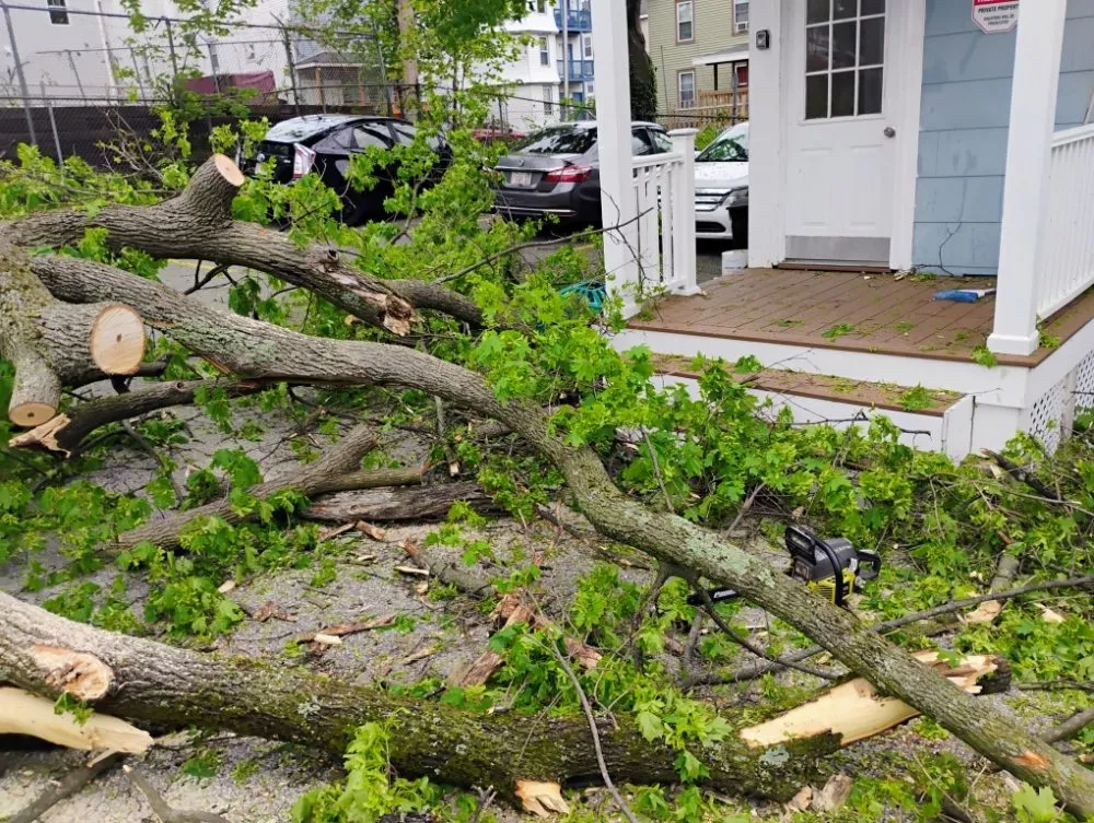 Trusted landscape design with custom design in Worcester, MA by DeJarnette & Son's