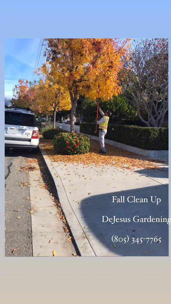 Local landscape installation for outdoor upgrades across Santa Maria, CA - DeJesus Gardening