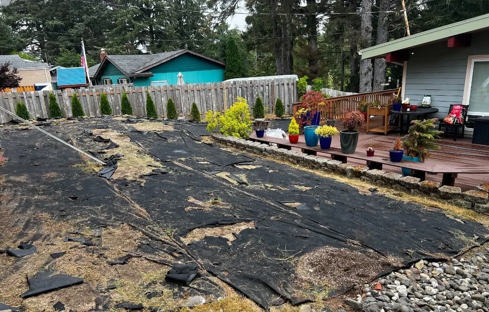 Reliable landscaping services in Warrenton, OR - Dejesus Landscape Maintenance