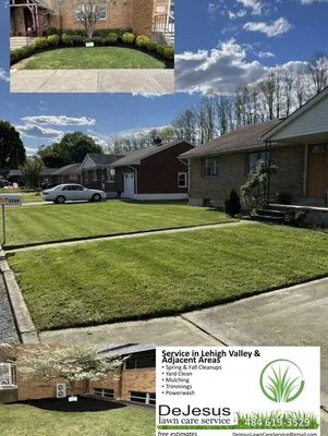 DeJesus Lawn Care Service Logo