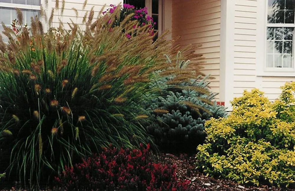 Trusted lawn care service for outdoor upgrades in Concord, NH by DeJohn Landscaping