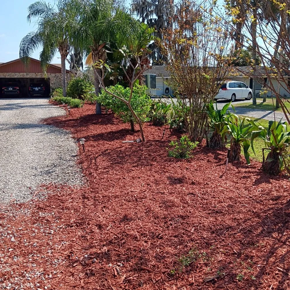 Expert landscape installation in Tampa, FL - Deke's