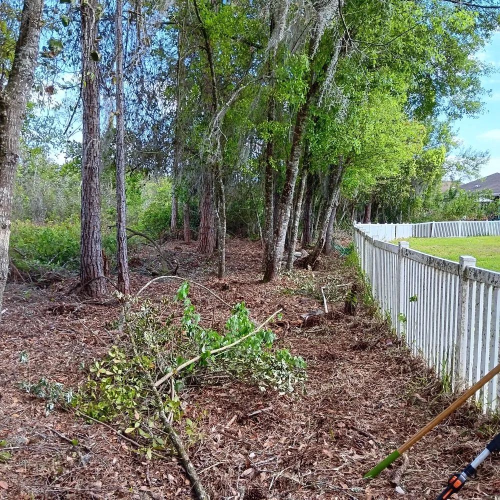 Reliable garden landscaping near you across Tampa, FL - Deke's