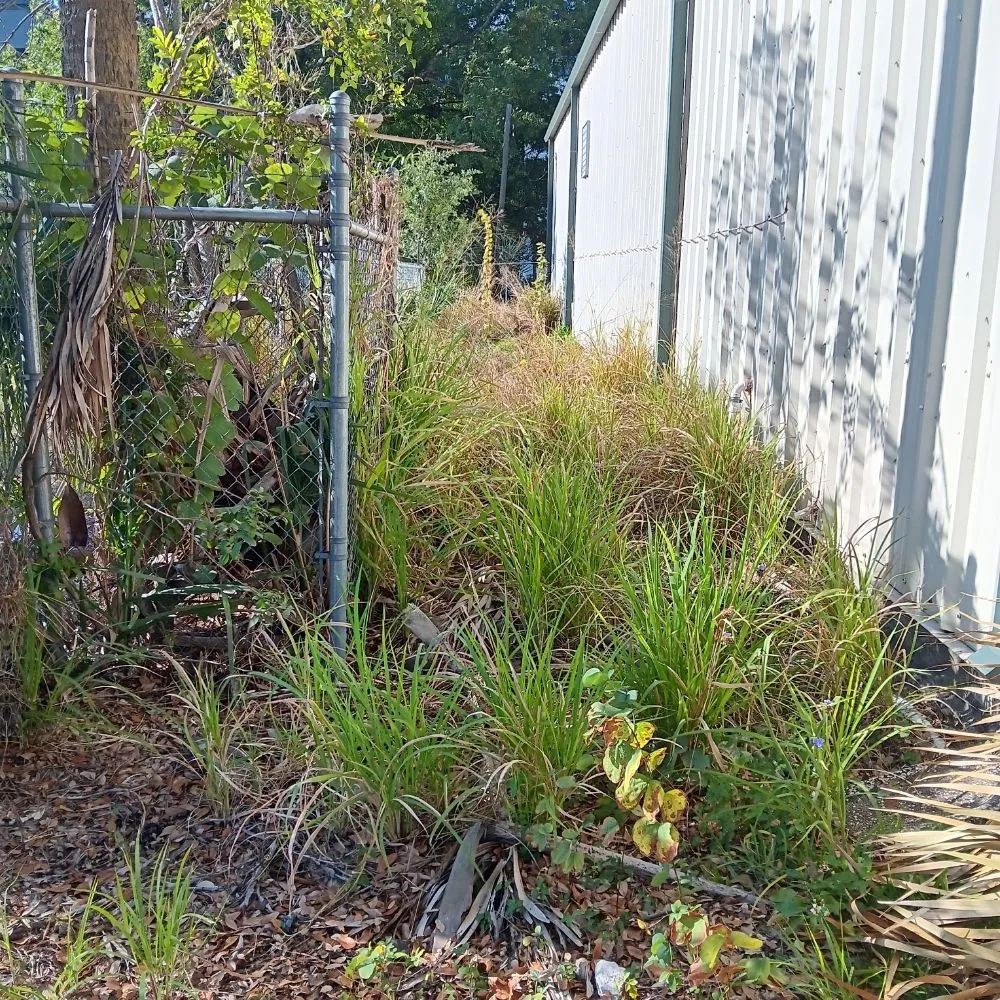 Affordable lawn care service in Tampa, FL - Deke's