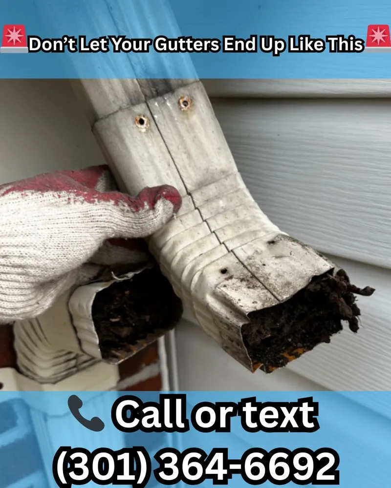 Trusted landscape installation experts serving Beltsville, MD - Del And John Landscaping