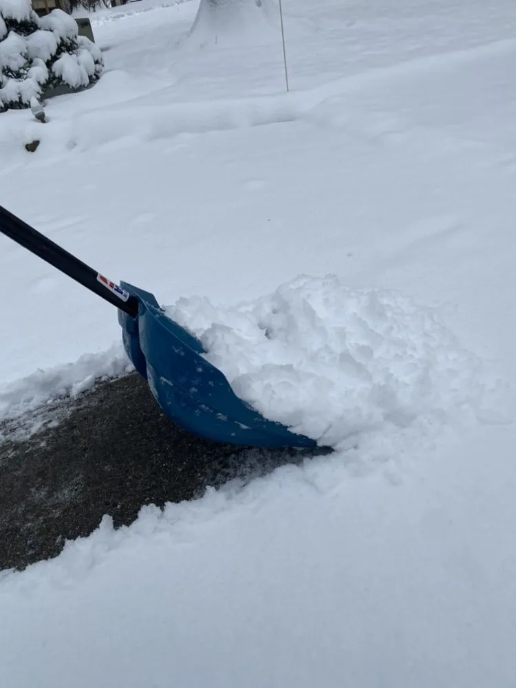 Local yard maintenance in Beltsville, MD by Del And John Landscaping