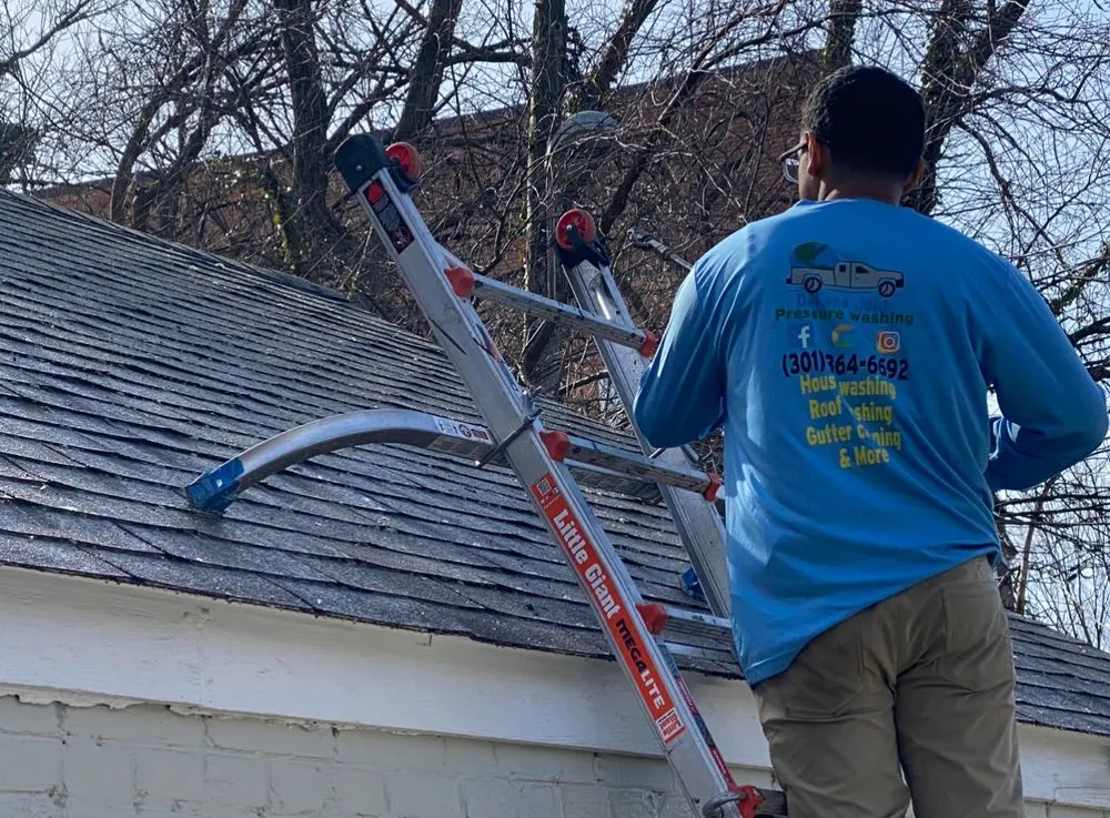 Local yard cleanup service in Beltsville, MD by Del And John Landscaping