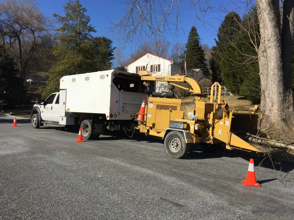 Affordable landscape design near you across Downingtown, PA - Del Angels Landscaping