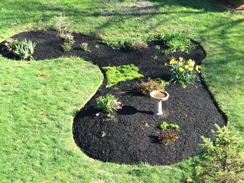 Expert lawn mowing service for outdoor upgrades across Downingtown, PA - Del Angels Landscaping