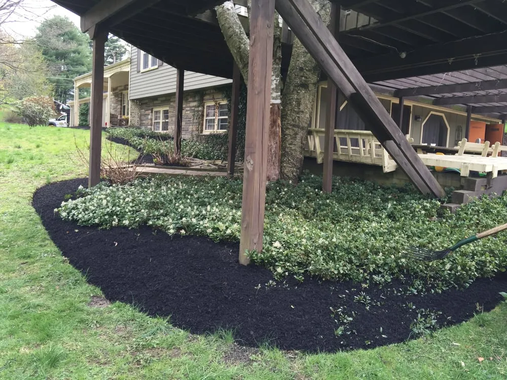 Reliable yard cleanup service experts serving Downingtown, PA - Del Angels Landscaping