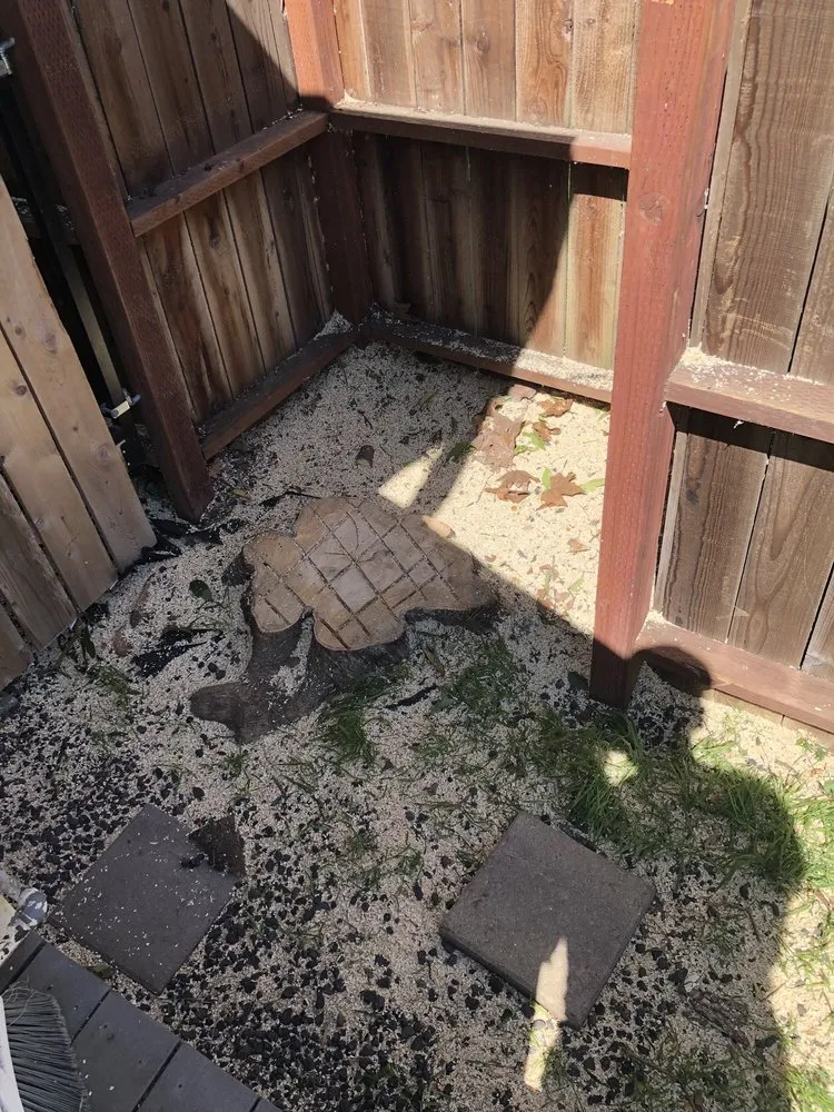 Reliable yard cleanup service in Rancho Cordova, CA by Del Cid Tree Service