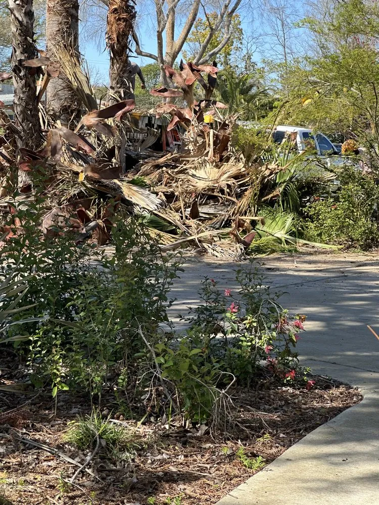 Affordable landscape installation experts serving Rancho Cordova, CA - Del Cid Tree Service