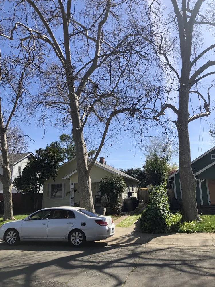 Local landscaping services for beautiful yards across Rancho Cordova, CA - Del Cid Tree Service