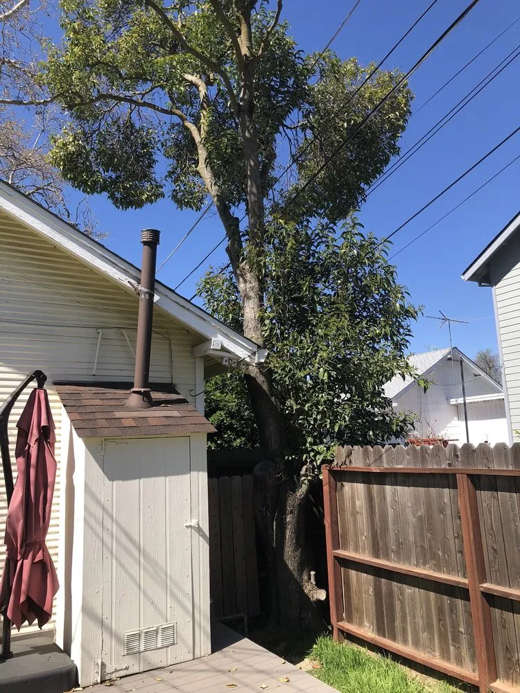 Custom landscape installation experts serving Rancho Cordova, CA - Del Cid Tree Service