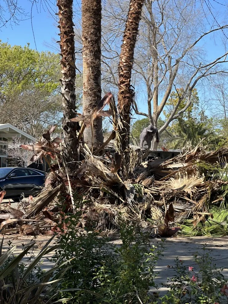 Professional lawn mowing service experts serving Rancho Cordova, CA - Del Cid Tree Service