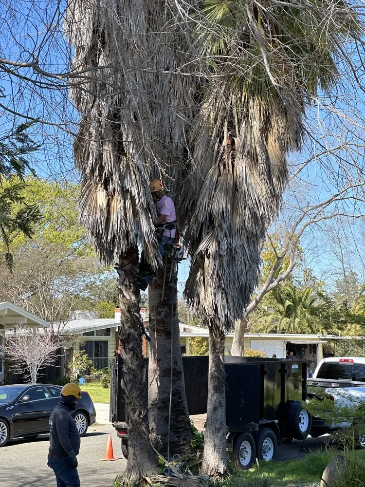 Custom landscape design with custom design across Rancho Cordova, CA - Del Cid Tree Service