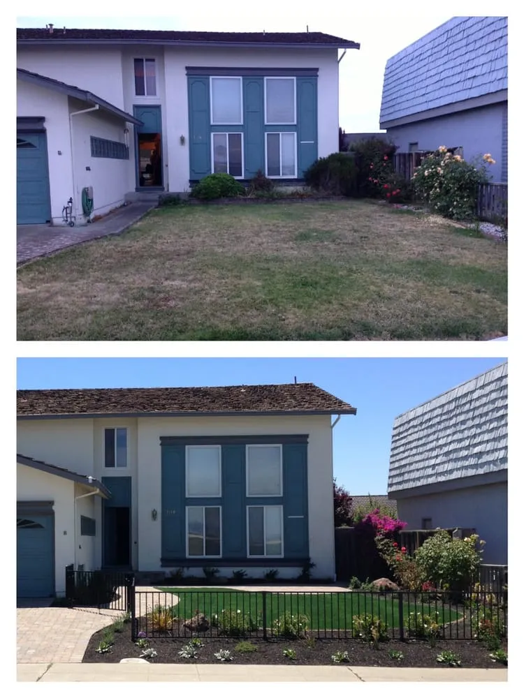 Expert yard cleanup service in Fremont, CA by Del Conte's Landscaping